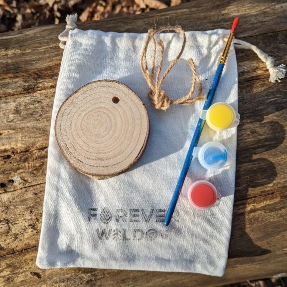 paint disc