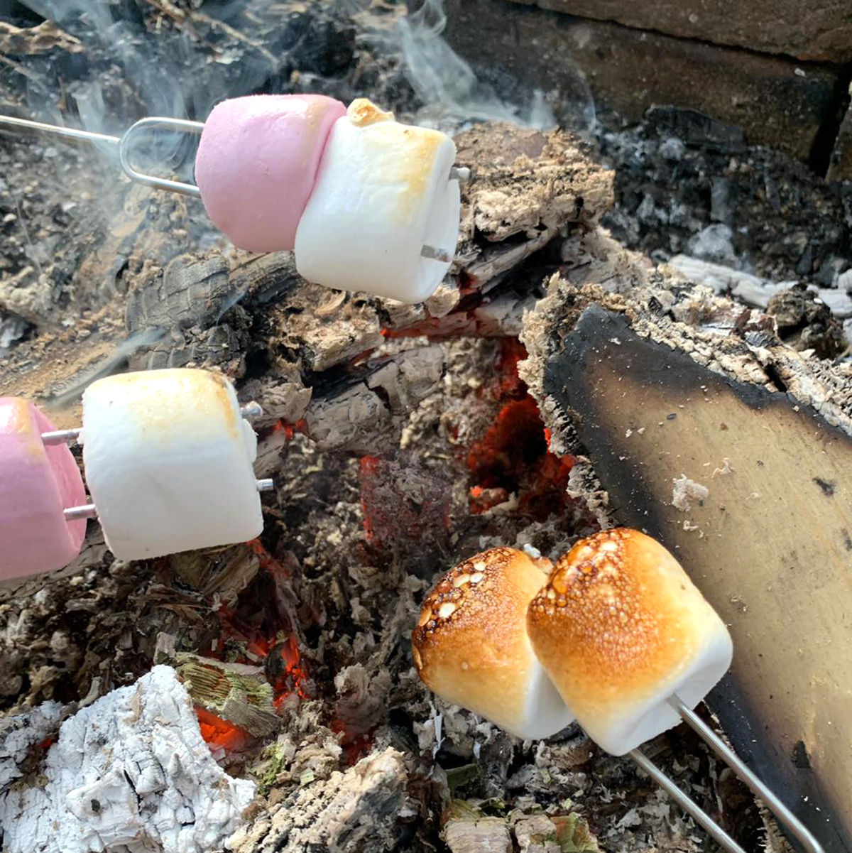 Campfire Snacks